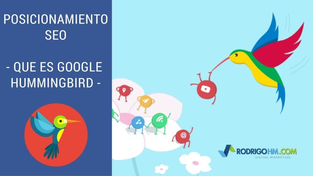 Que es Google HummingBird – Como Funciona – Posicionamiento…