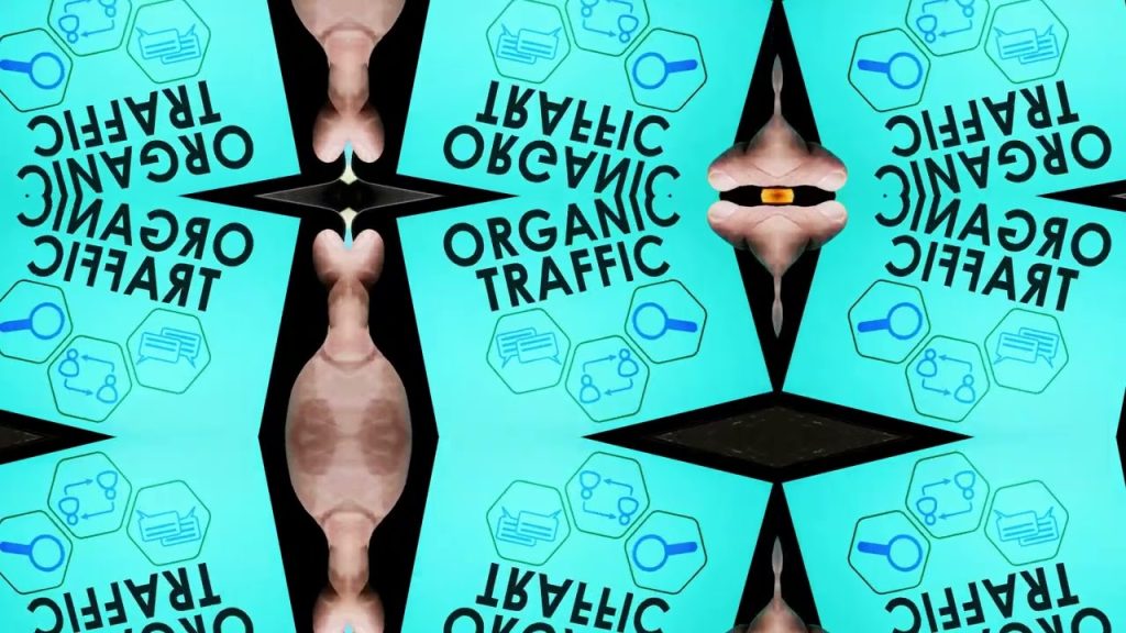 Unraveling the SEO Magic  A D2C Brands – Digitalz Pro Media …