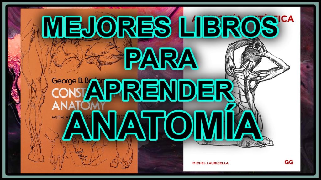 2 MEJORES LIBROS de ANATOMIA para DIBUJAR y COMO USARLOS….