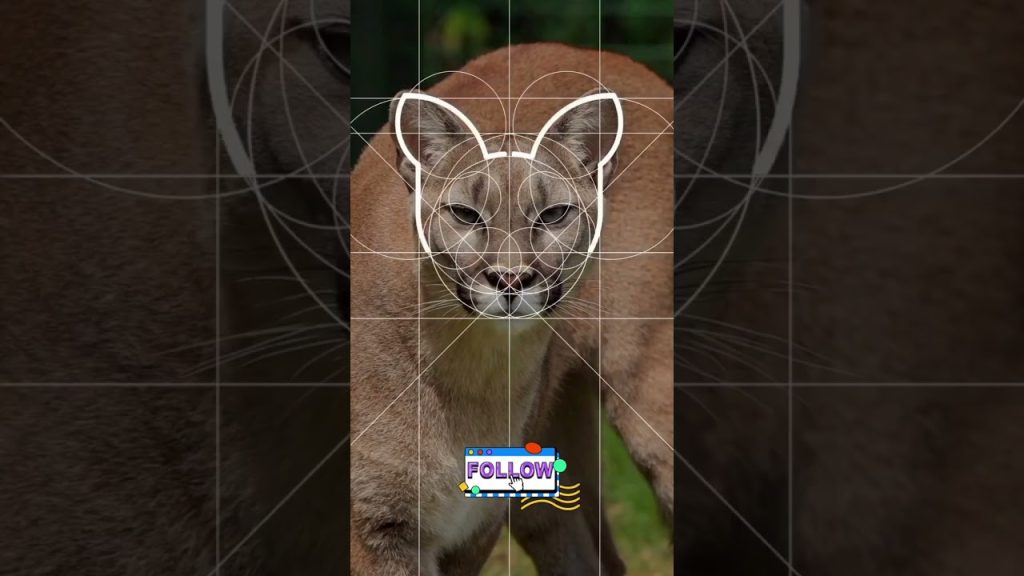 Animal Logo Design | Minimalist Logo Design Idea #shorts…