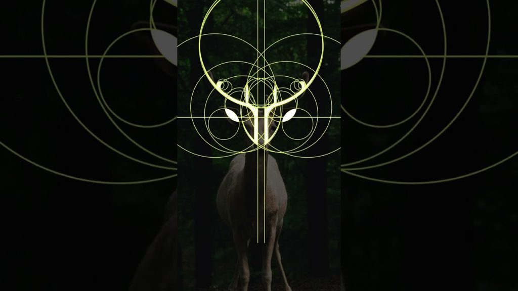 The golden ratio of animal logos #shorts #logo #logodesign