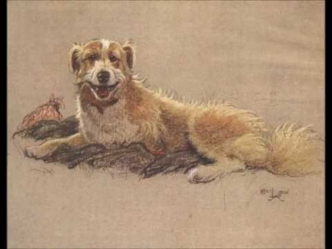 Cecil Aldin Illustrations