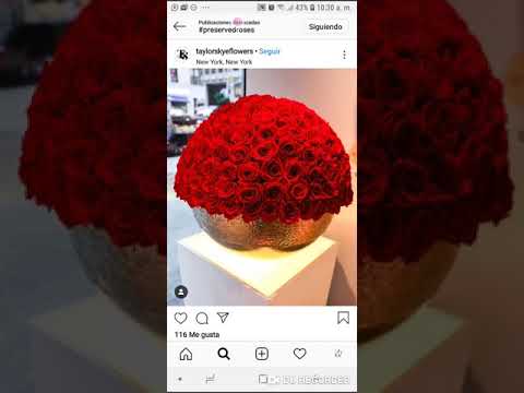 Cómo buscar contenido para tus redes sociales