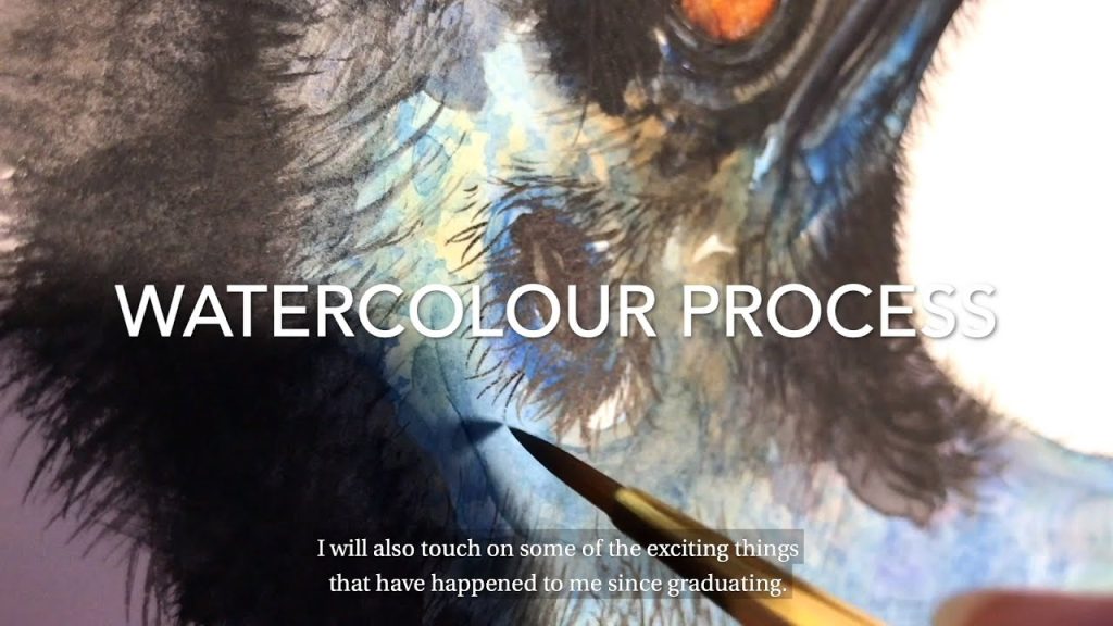 Alumni Insight Series | Sami Bayly